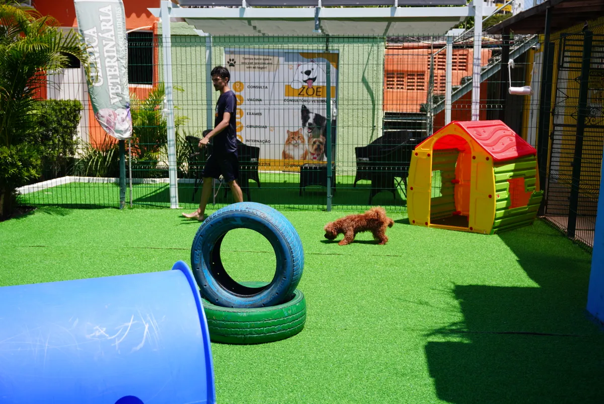 Área gramada e verde da Zoe Pet Spa